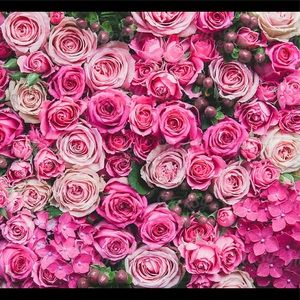 Meet your Posher, Alexandra